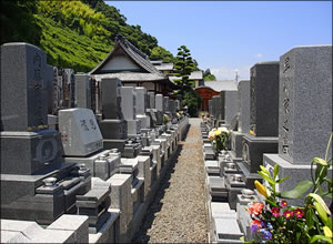 一般墓地イメージ